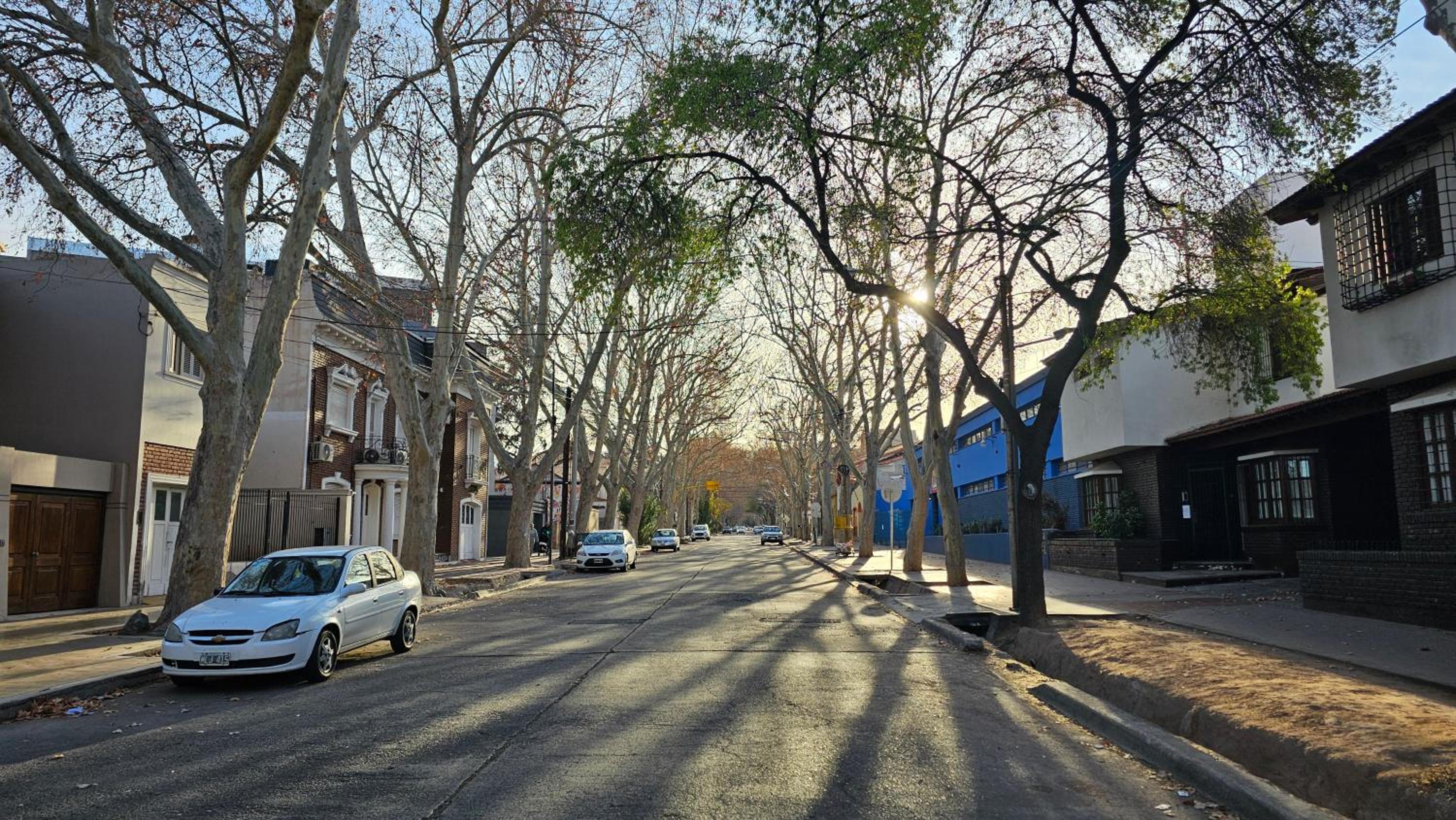 Nueva Mansion Roca