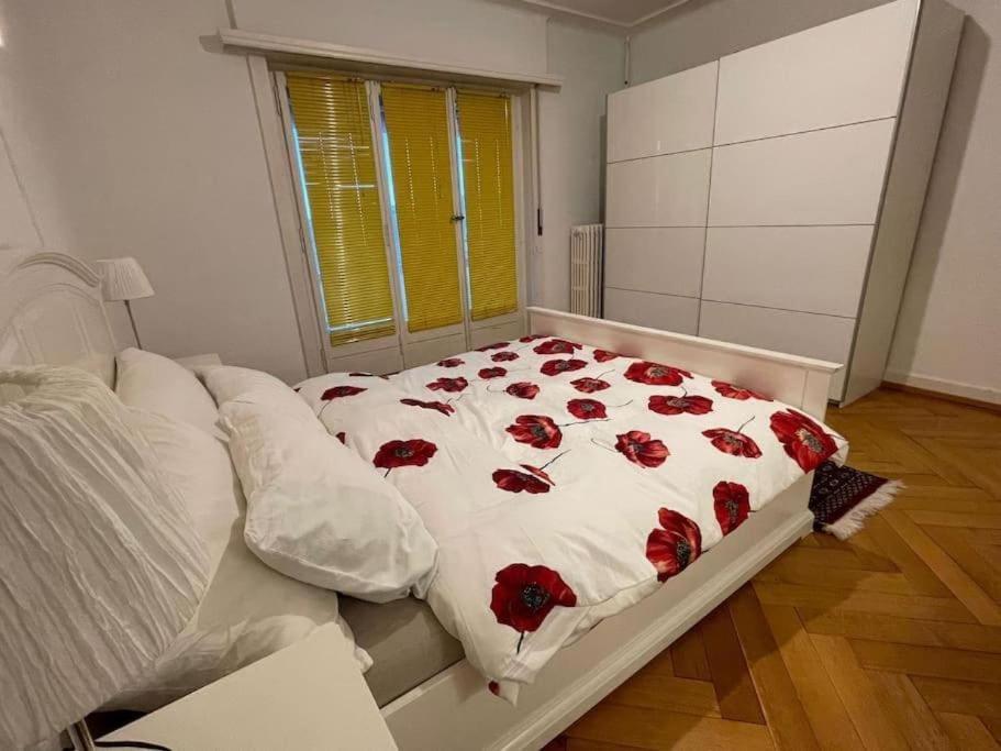 Appartement élégant & ensoleillé