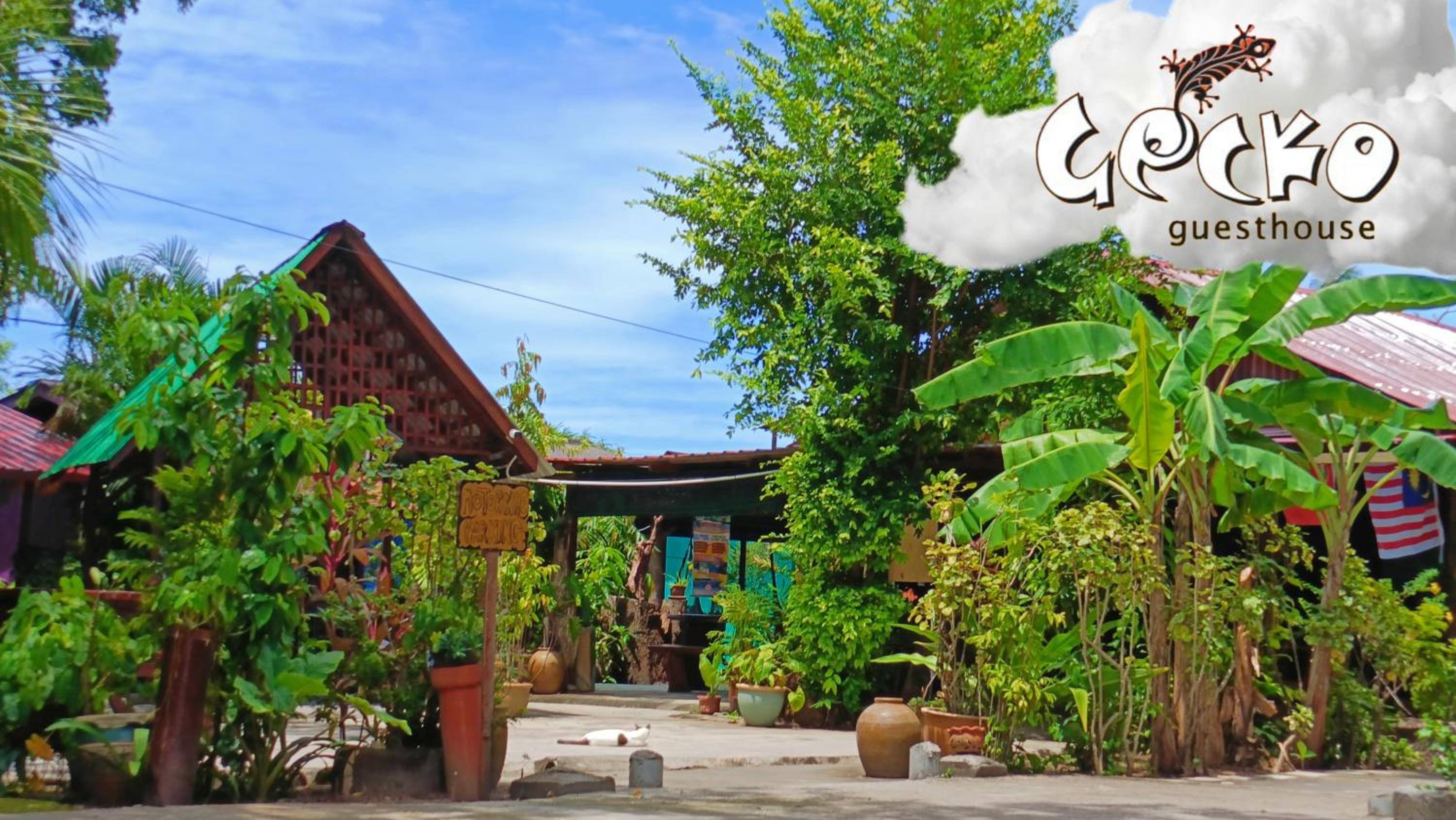 Gecko Guesthouse photo 1