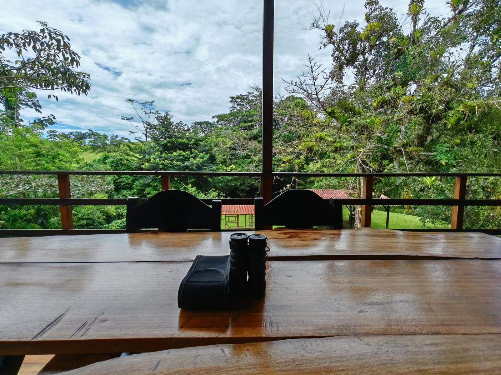 Ceibo Lodge, great birdwatching