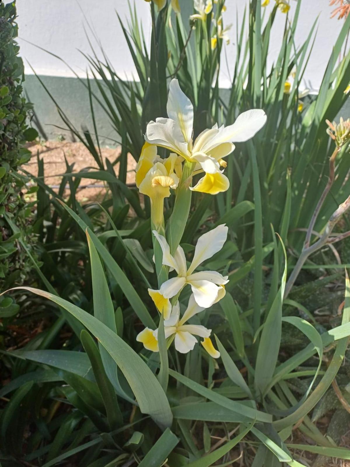 Photo 47
