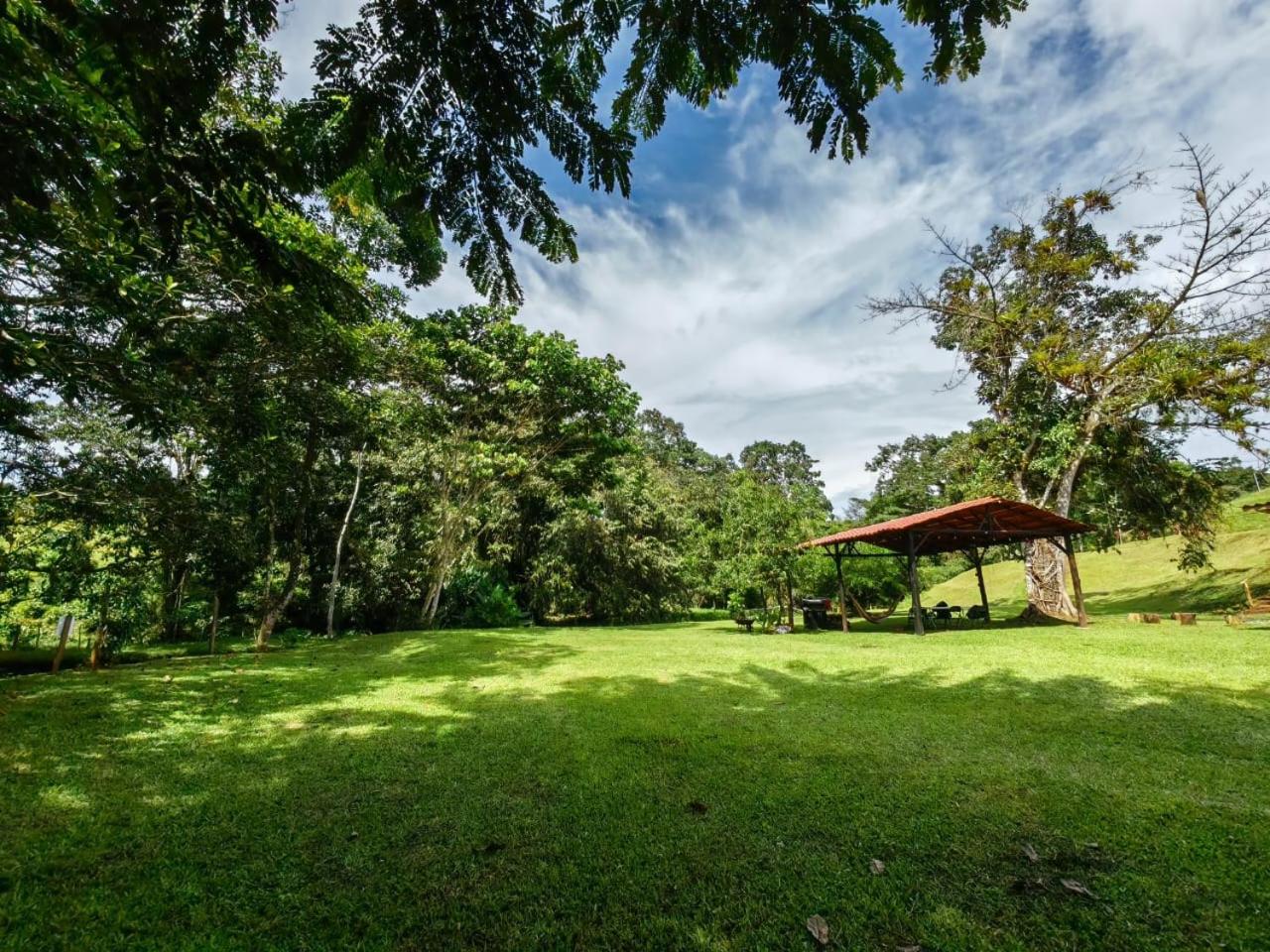 Ceibo Lodge, great birdwatching