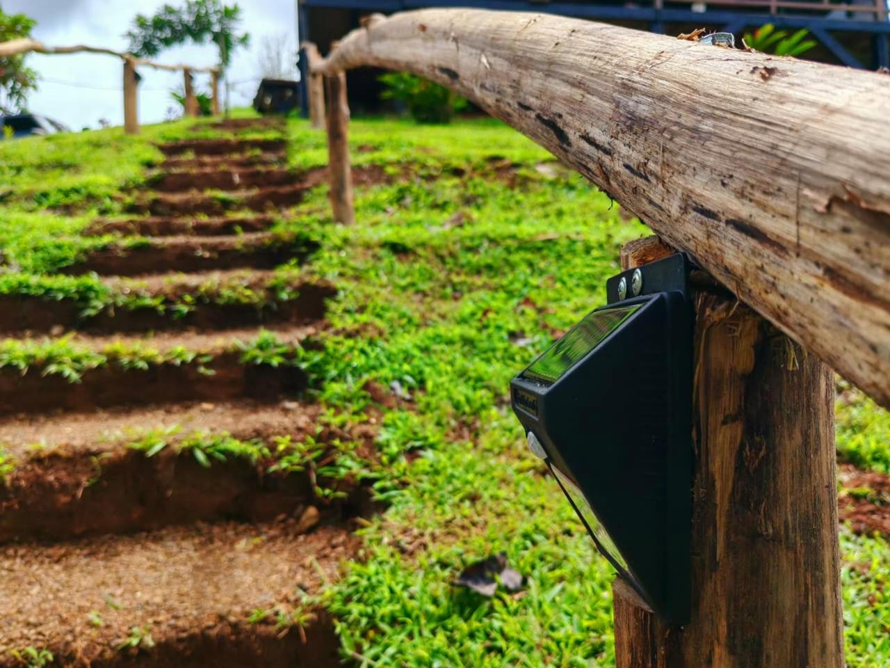 Ceibo Lodge, great birdwatching