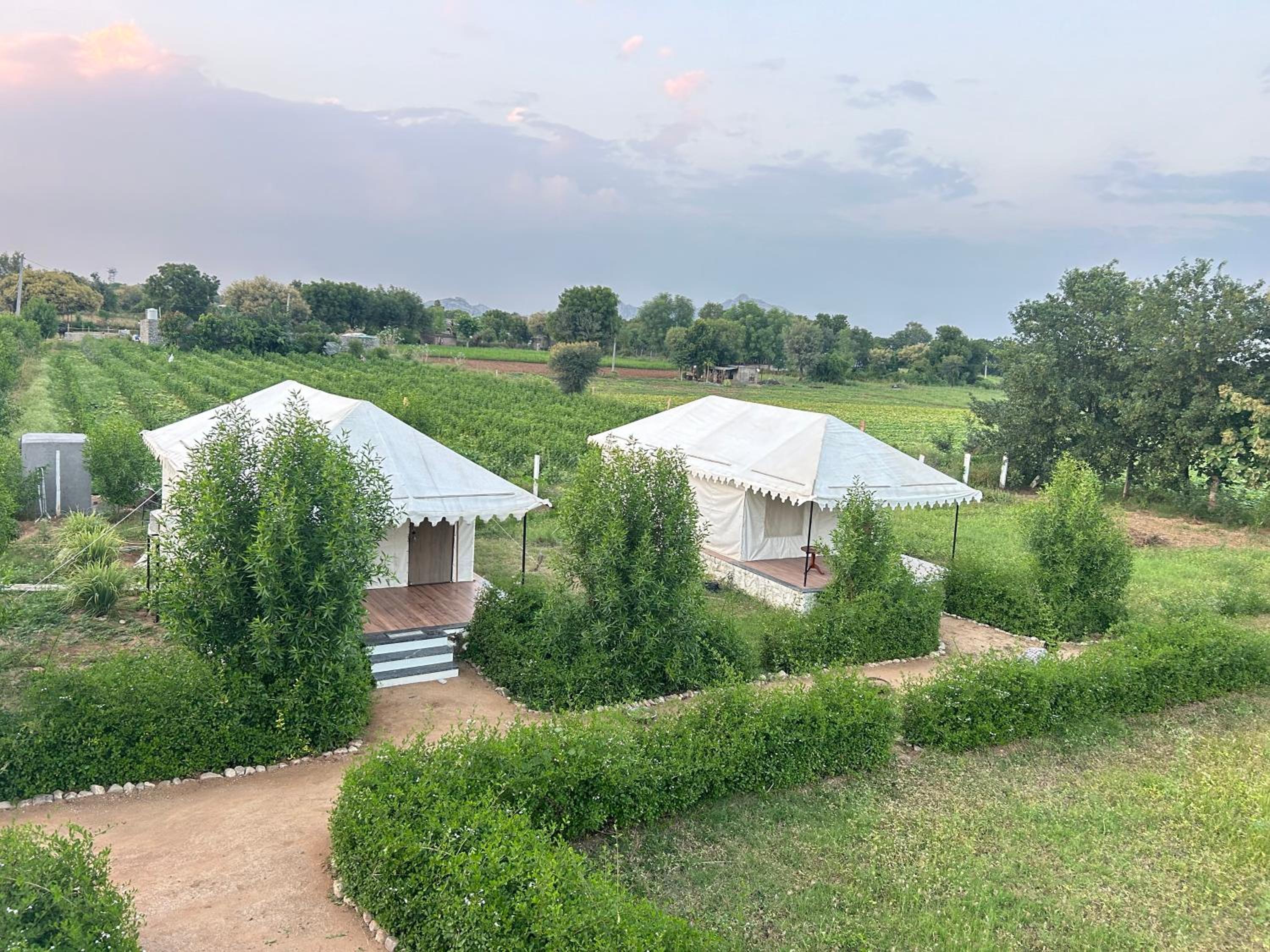 Jawai Horizon Camp