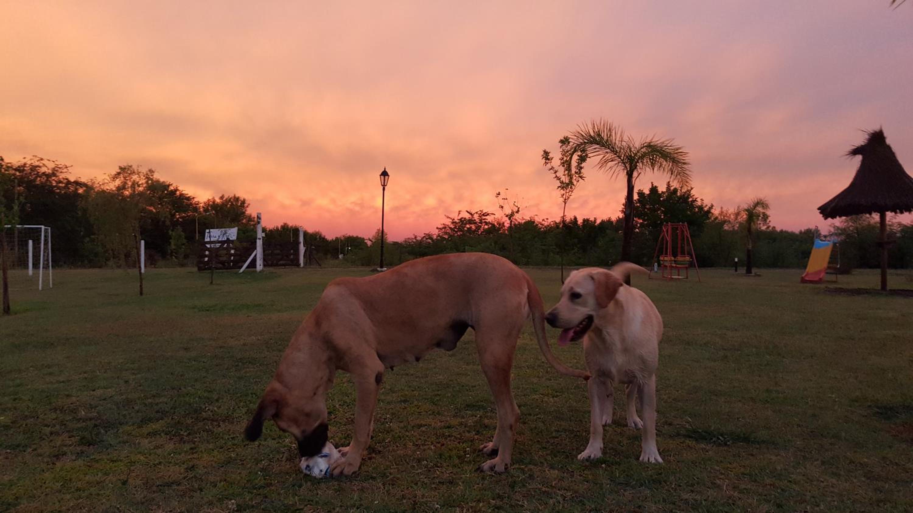 Terra y Rio