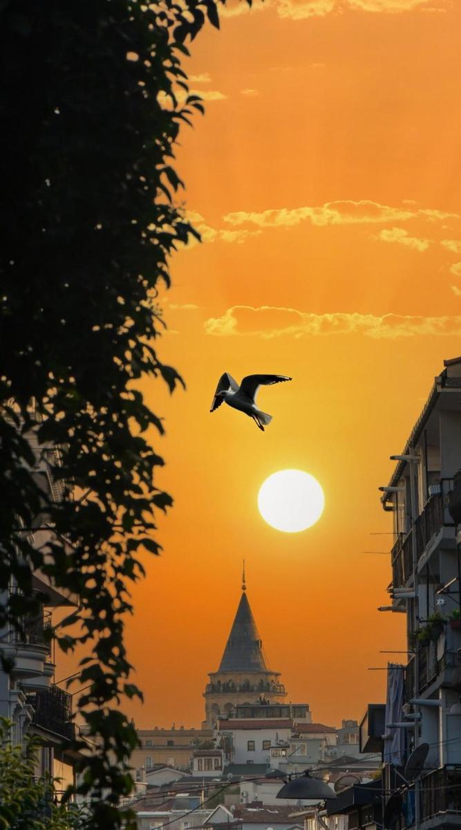 Taksim Private Terrace Close to Antique Store Galata Port Cihangir