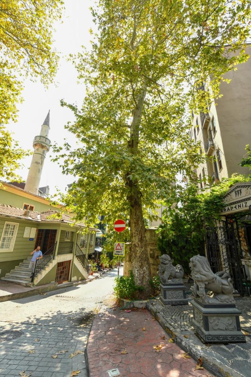 Taksim Private Terrace Close to Antique Store Galata Port Cihangir