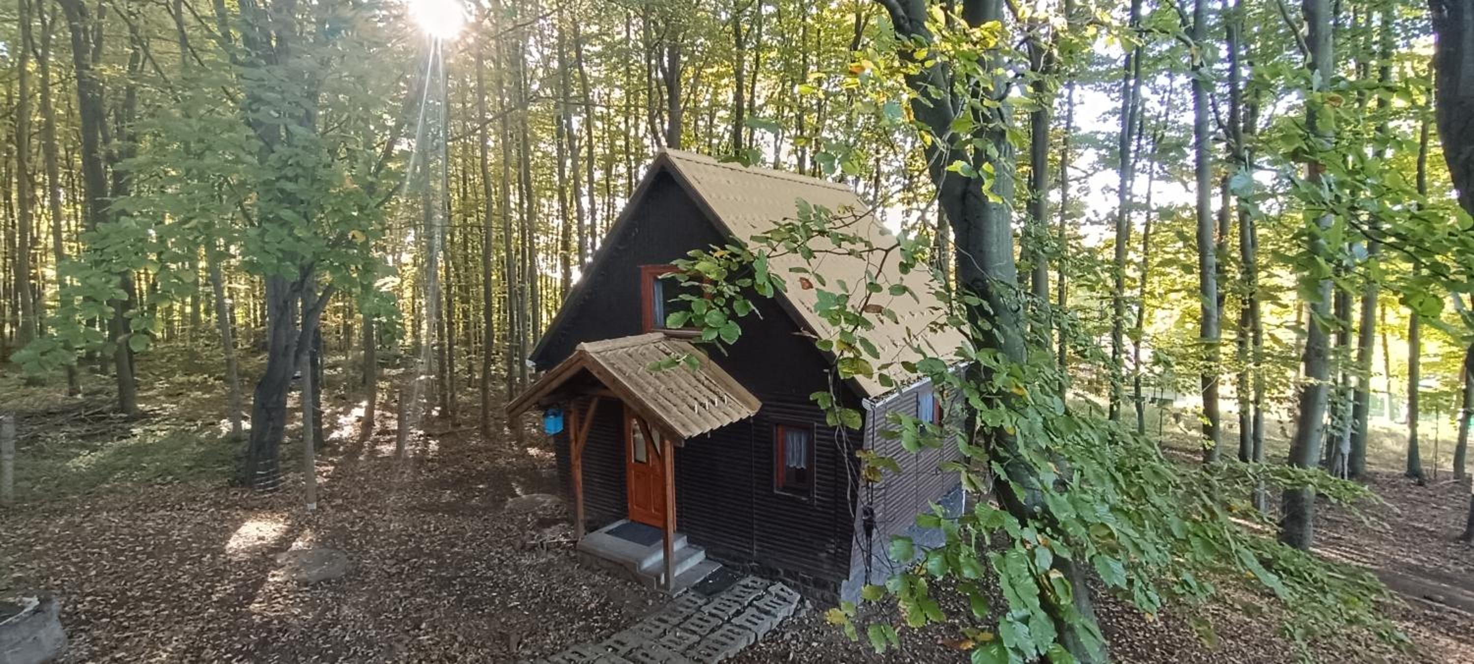 Darázshegyi Panzió és Faházak - Faházak