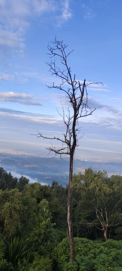 TGT Holidays Yercaud