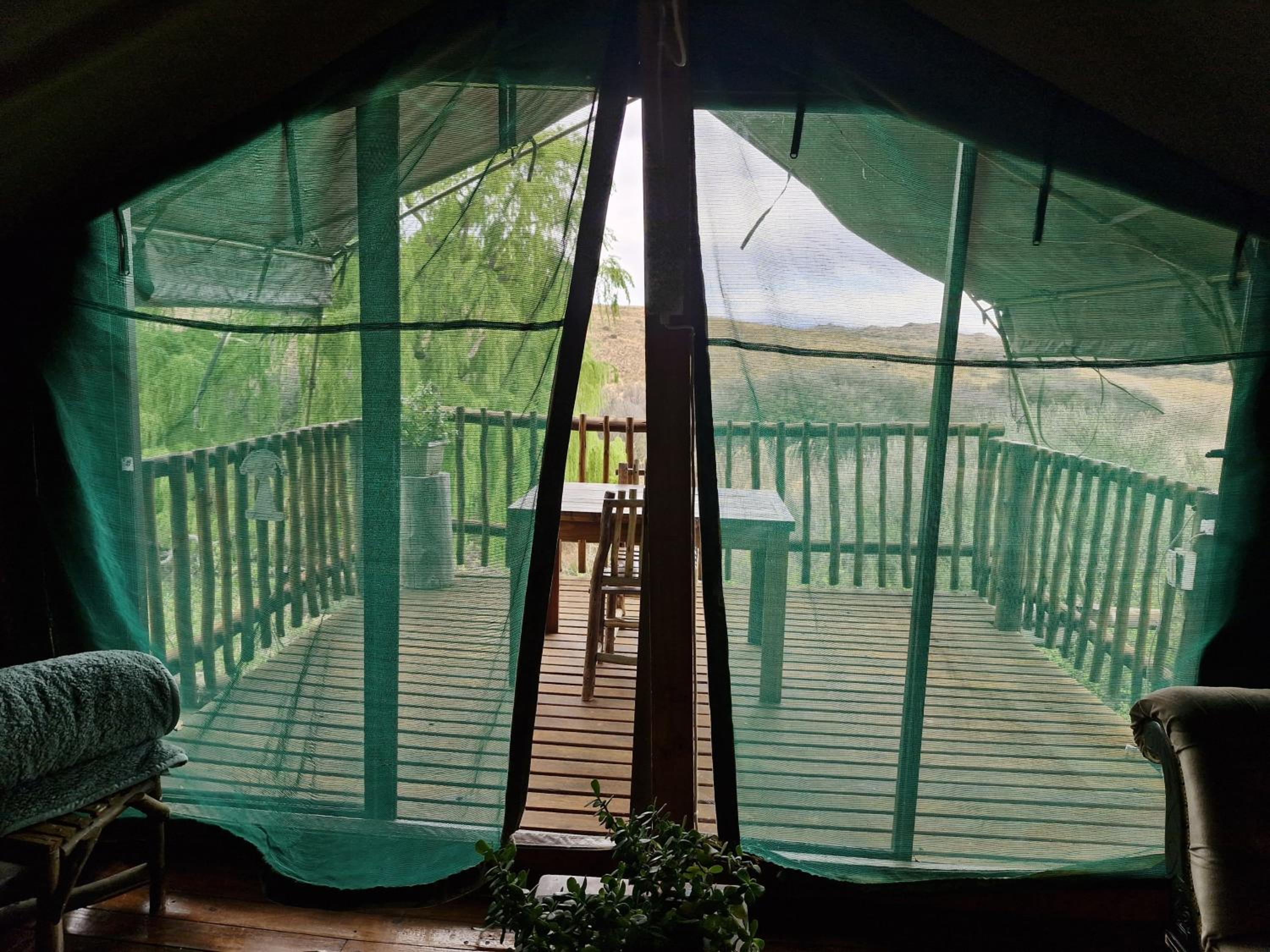 Safari Game Camp