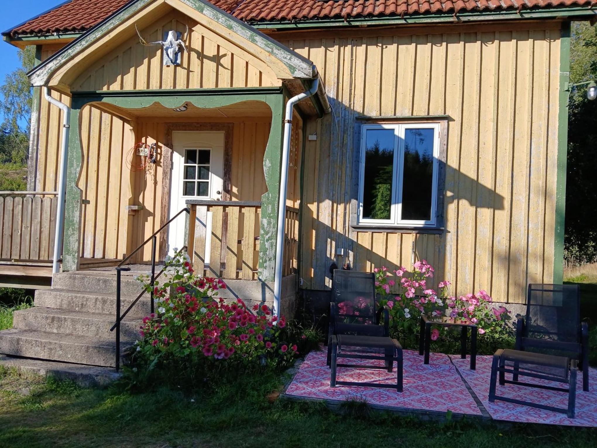 Photo 19