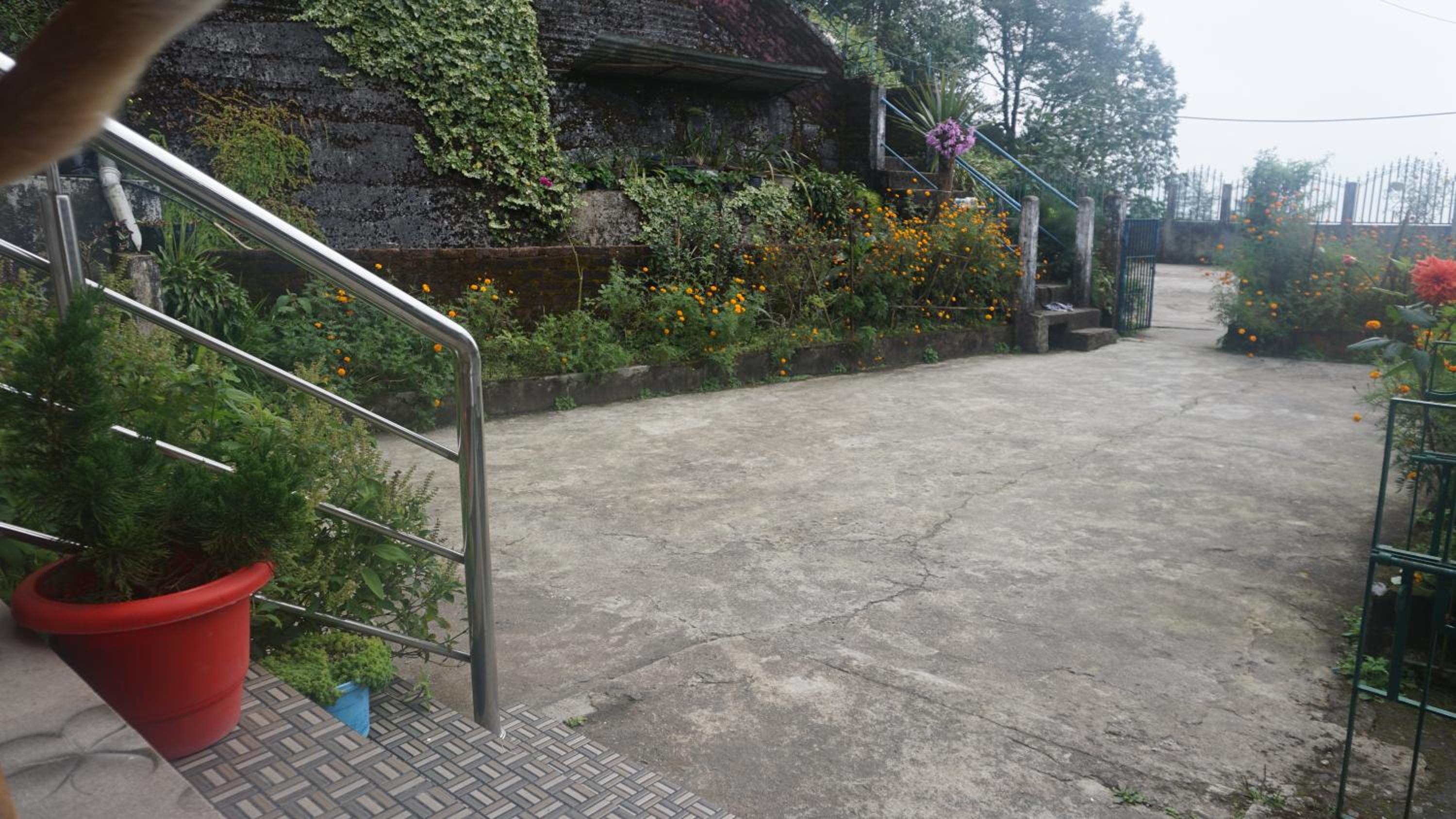 Photo 8