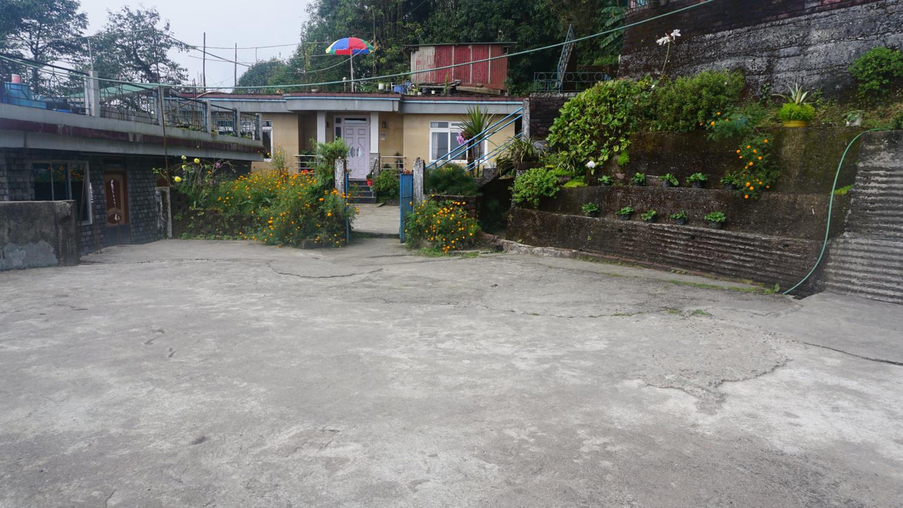 Tranquil Retreat Homestay view 5