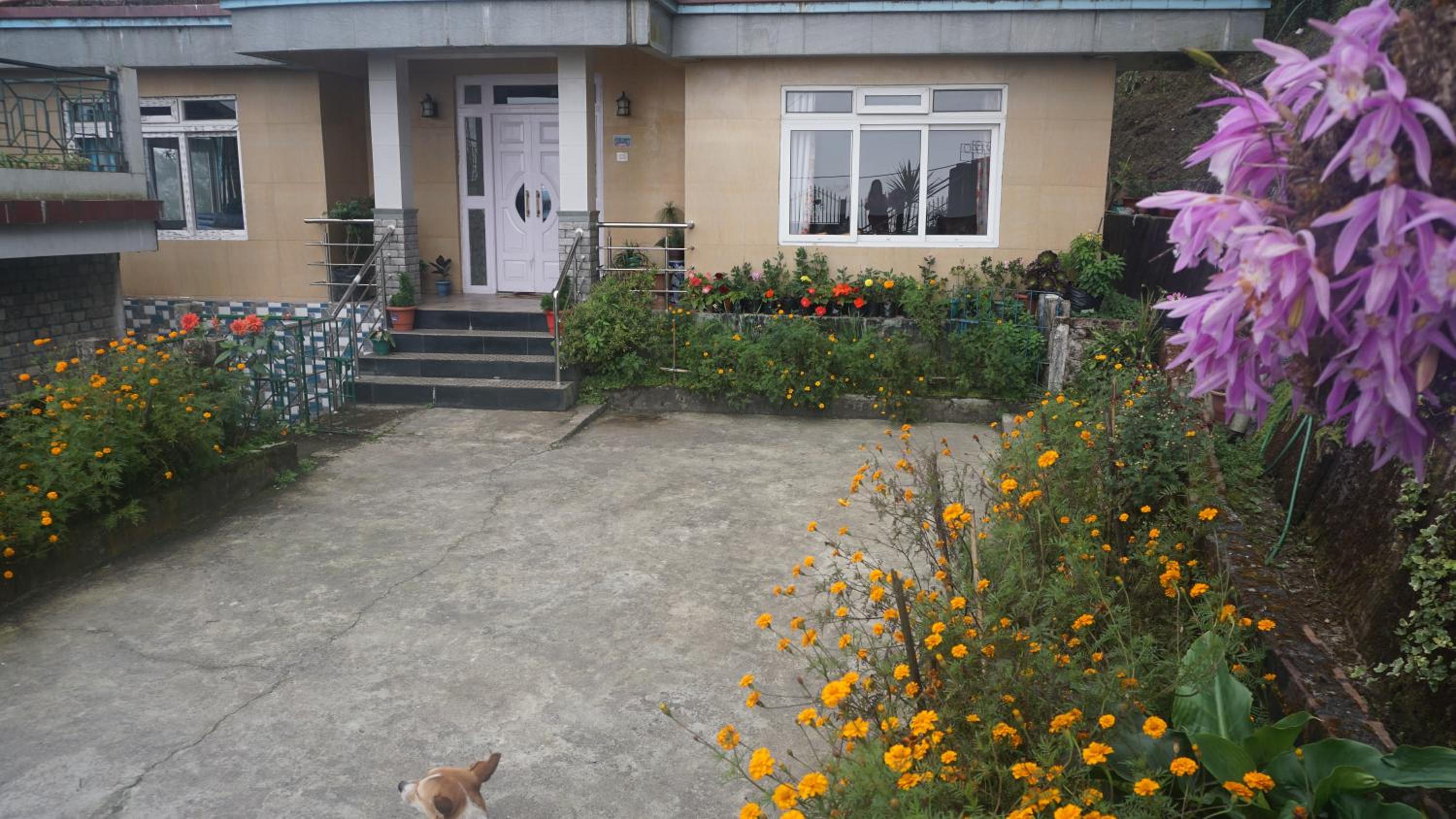 Tranquil Retreat Homestay preview