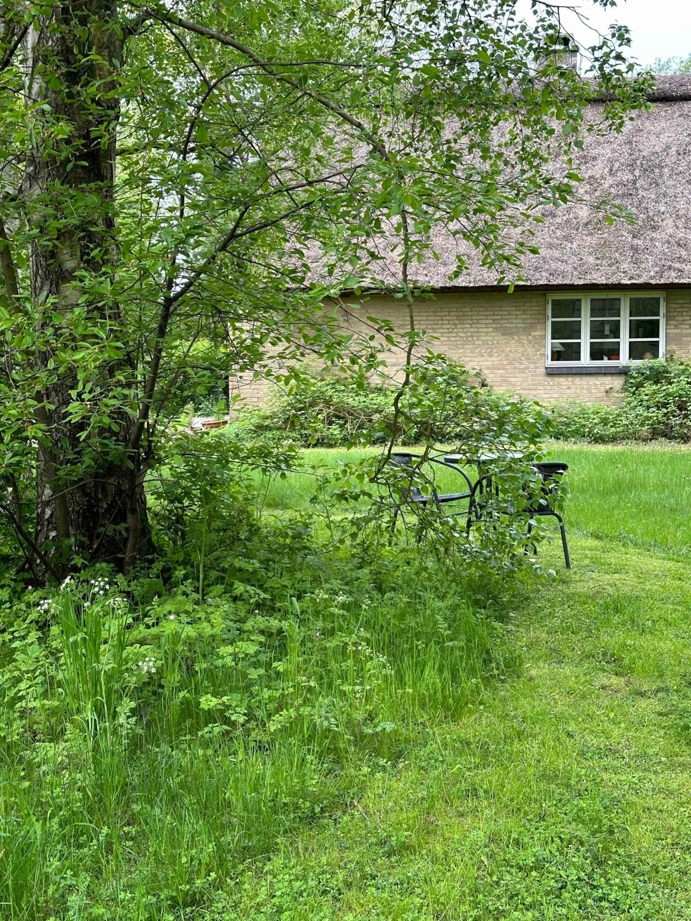 Cozy Thatched Cottage With Modern Décor