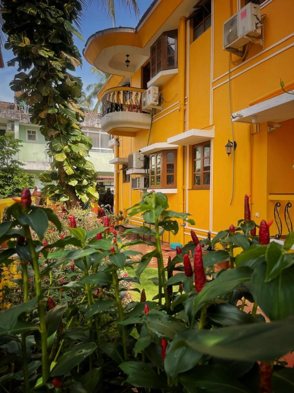Minria Guest House view 4