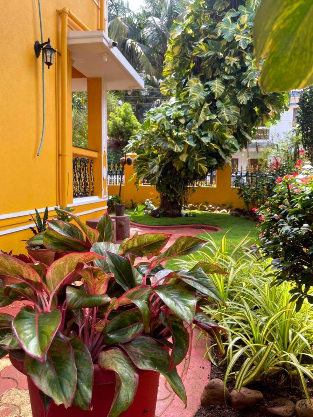 Minria Guest House view 2