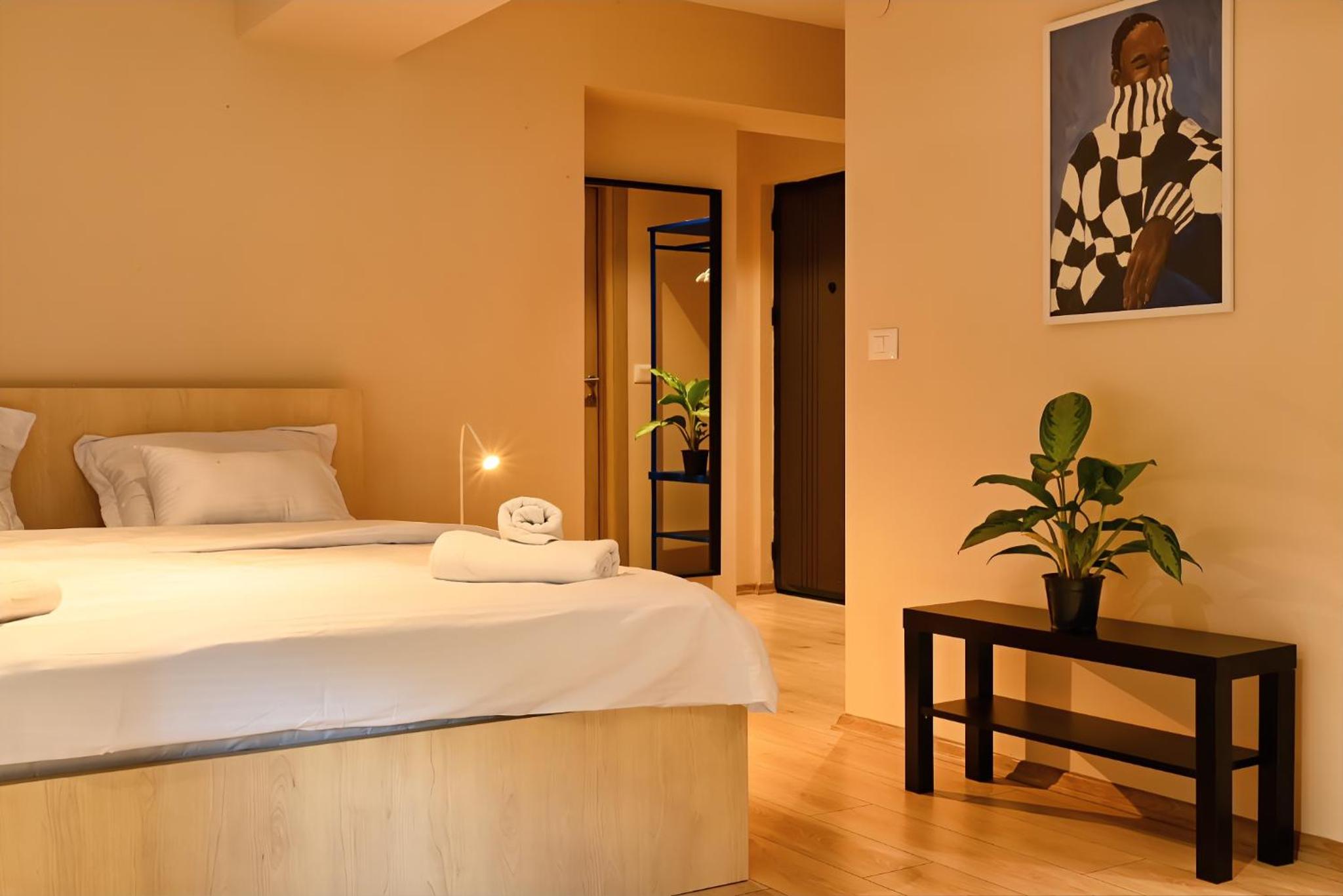 Central Studio Apartments in Debar Maalo