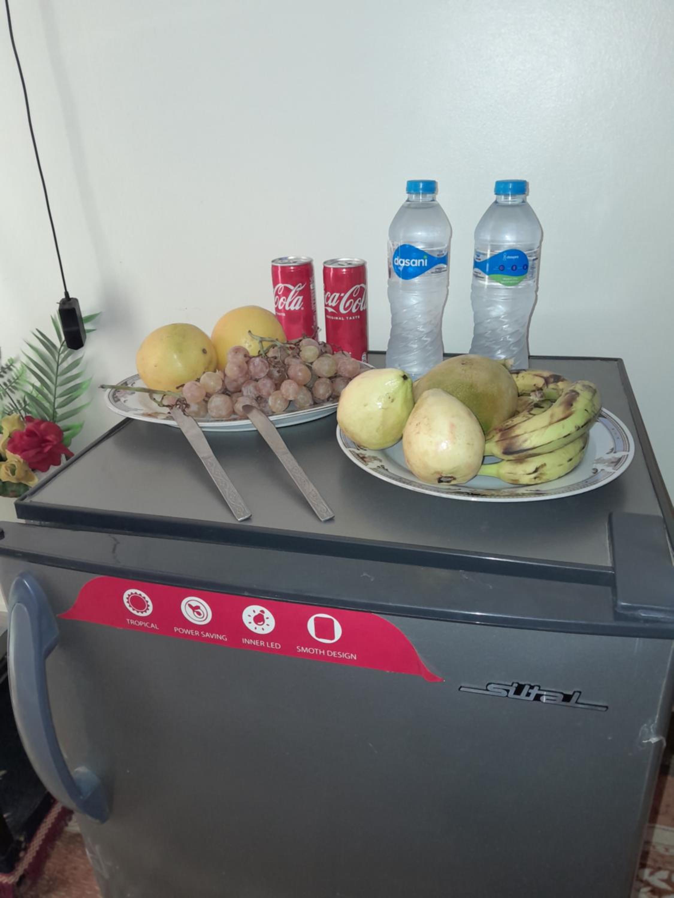 Osiris Guest House
