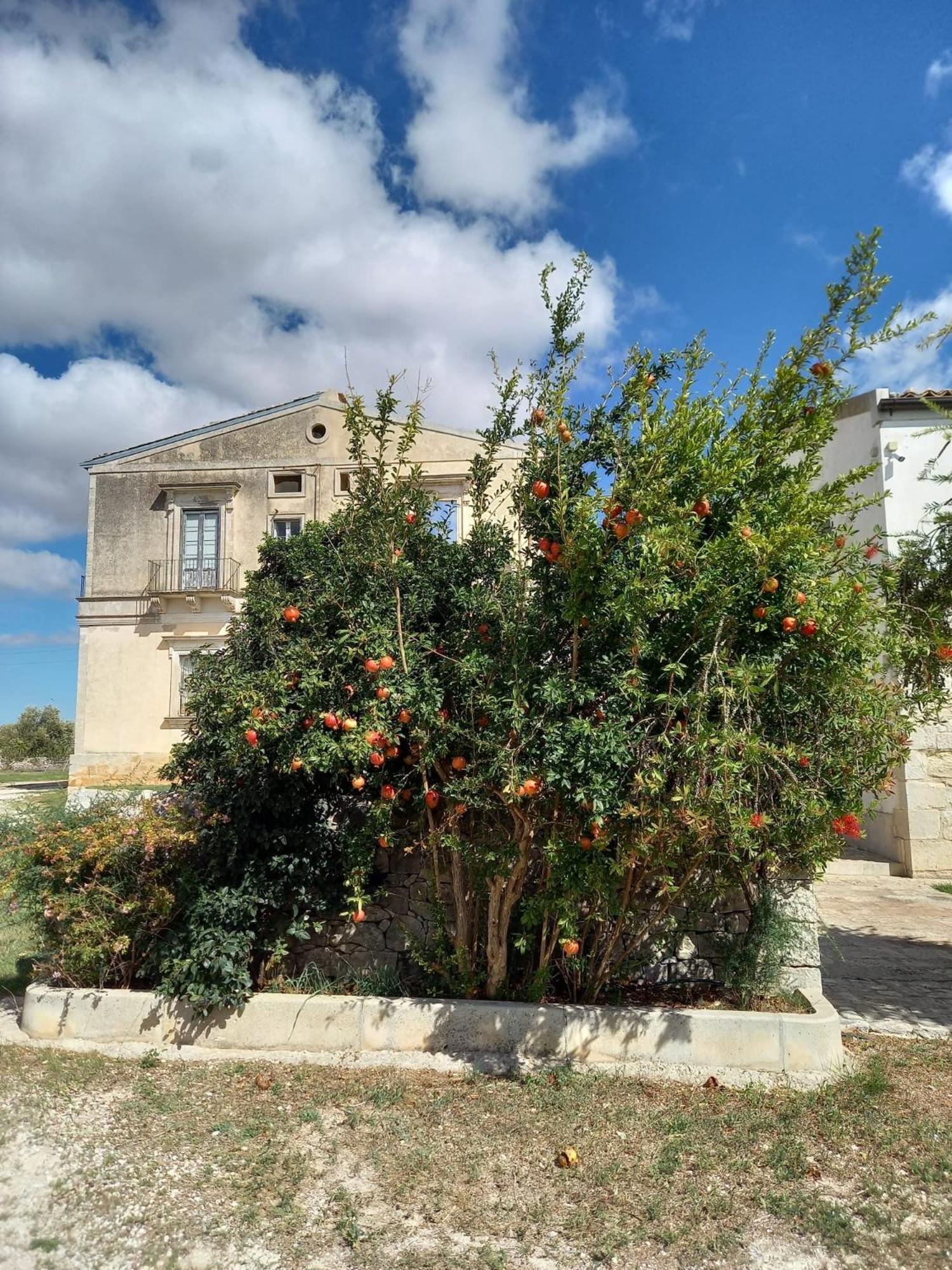 AgriturismoBugilfezza di TGESD