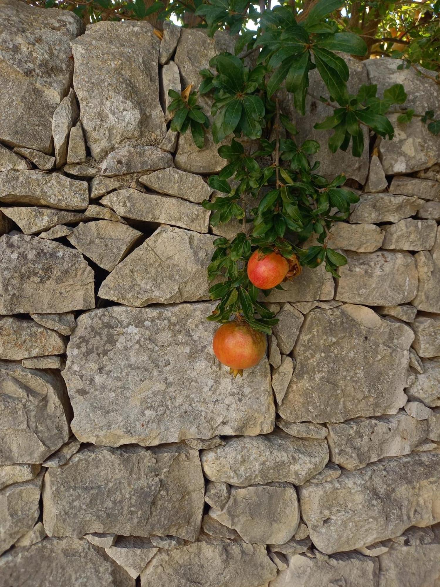 AgriturismoBugilfezza di TGESD