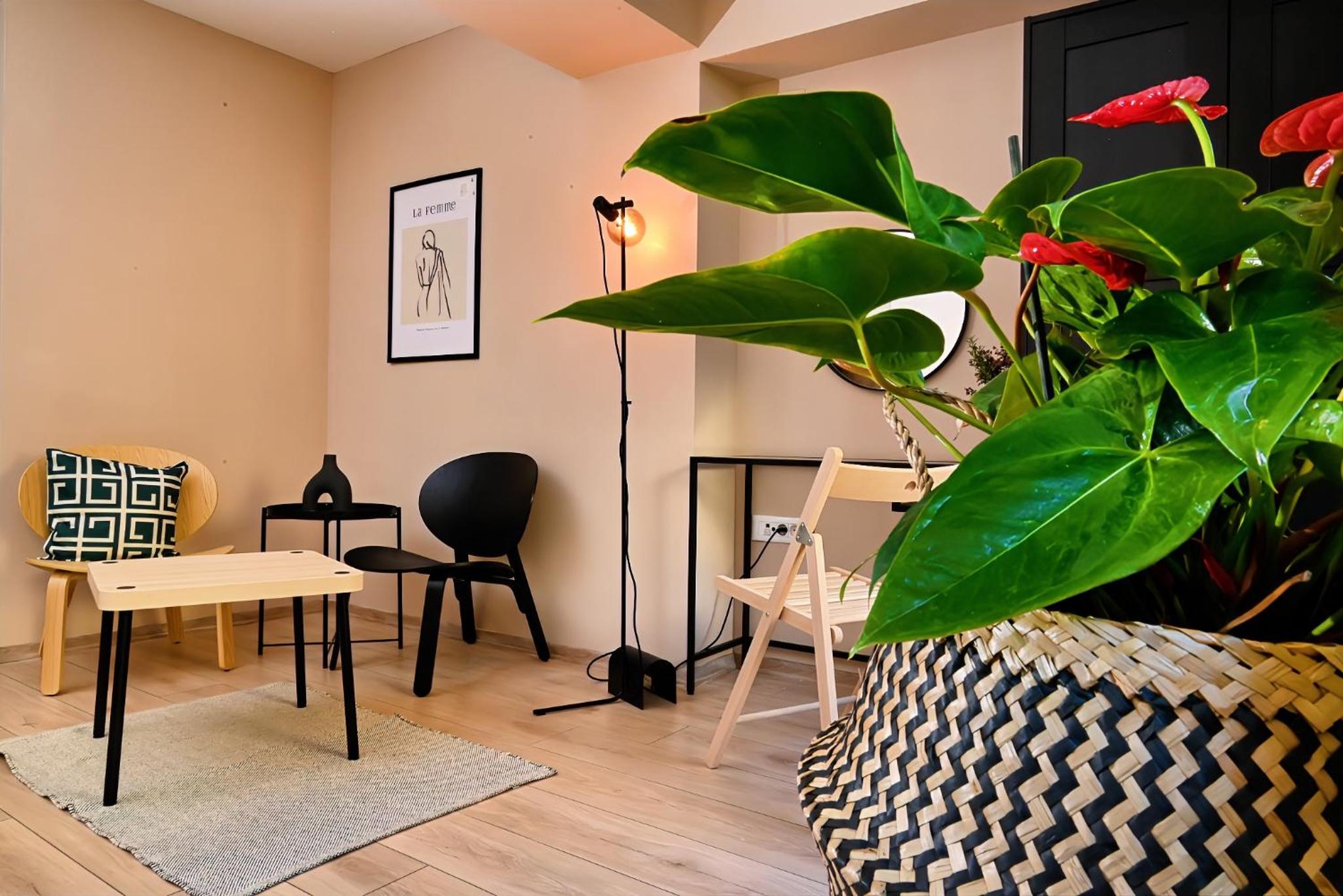 Central Studio Apartments in Debar Maalo
