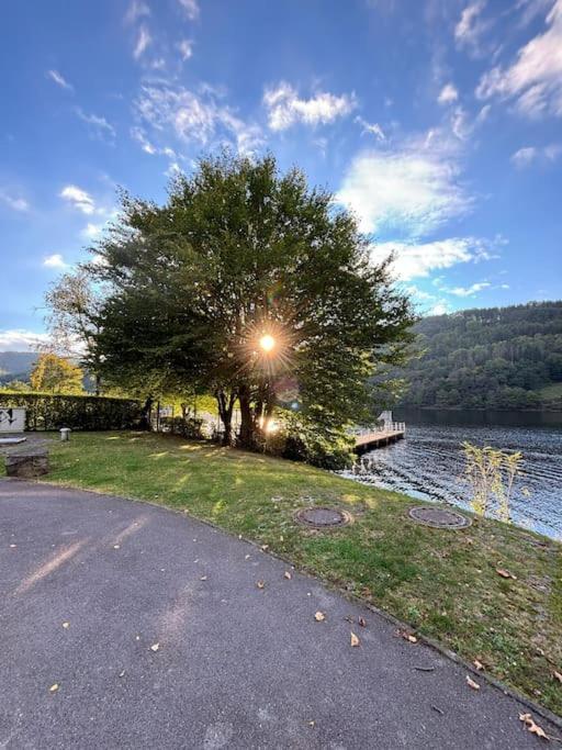 Urlaub in der Eifel direkt am Rursee - Seewinkel view 3