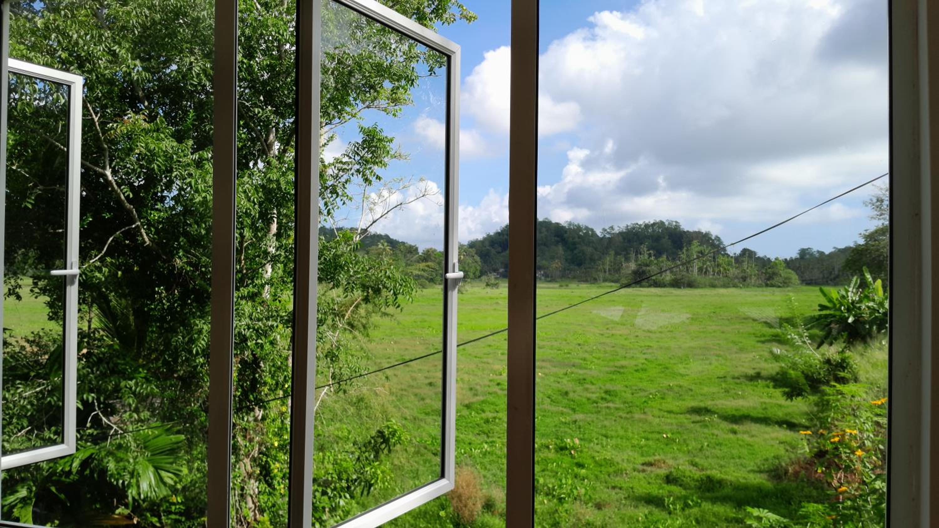 Paddy View Cottage view 2