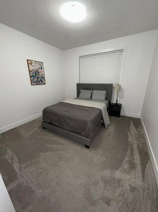 Spacious 3 bed 2 bath with attached garage