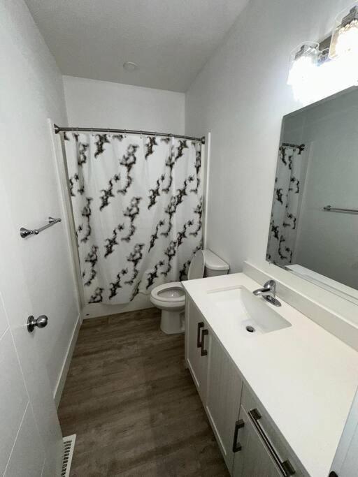 Spacious 3 bed 2 bath with attached garage