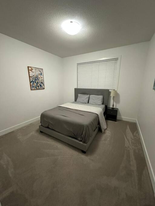 Spacious 3 bed 2 bath with attached garage