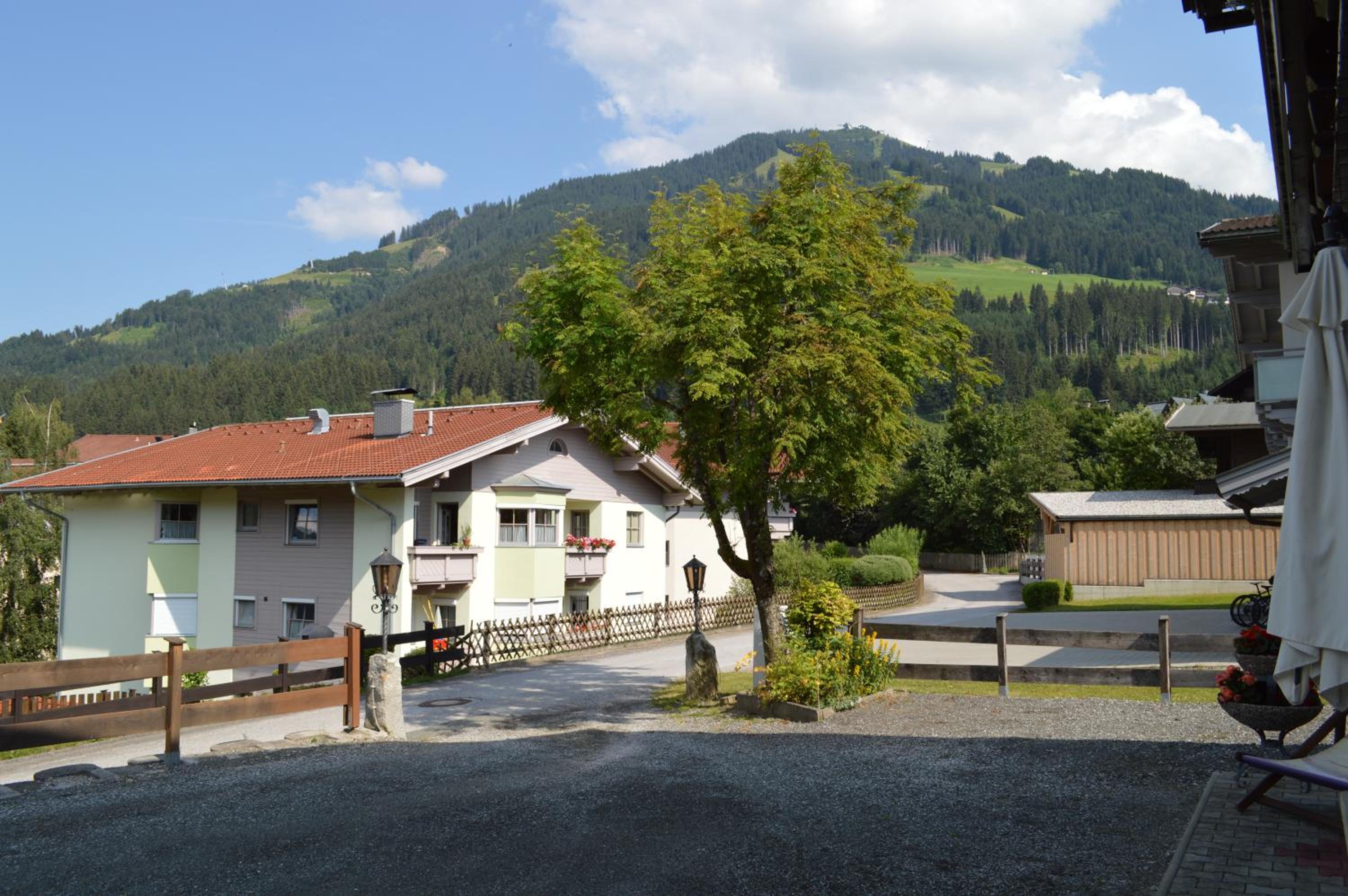 Photo 44