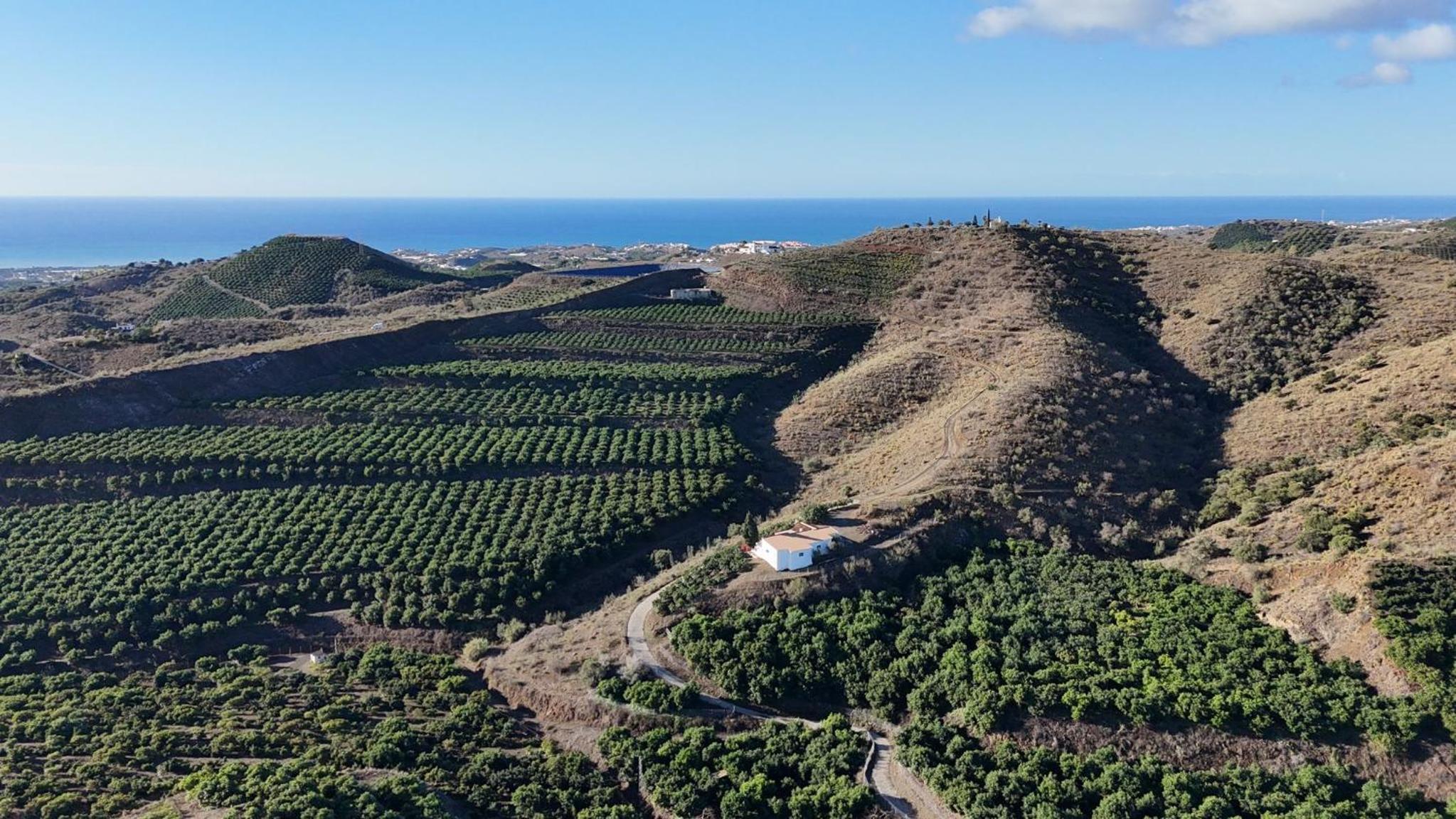 Casa La Dehesa