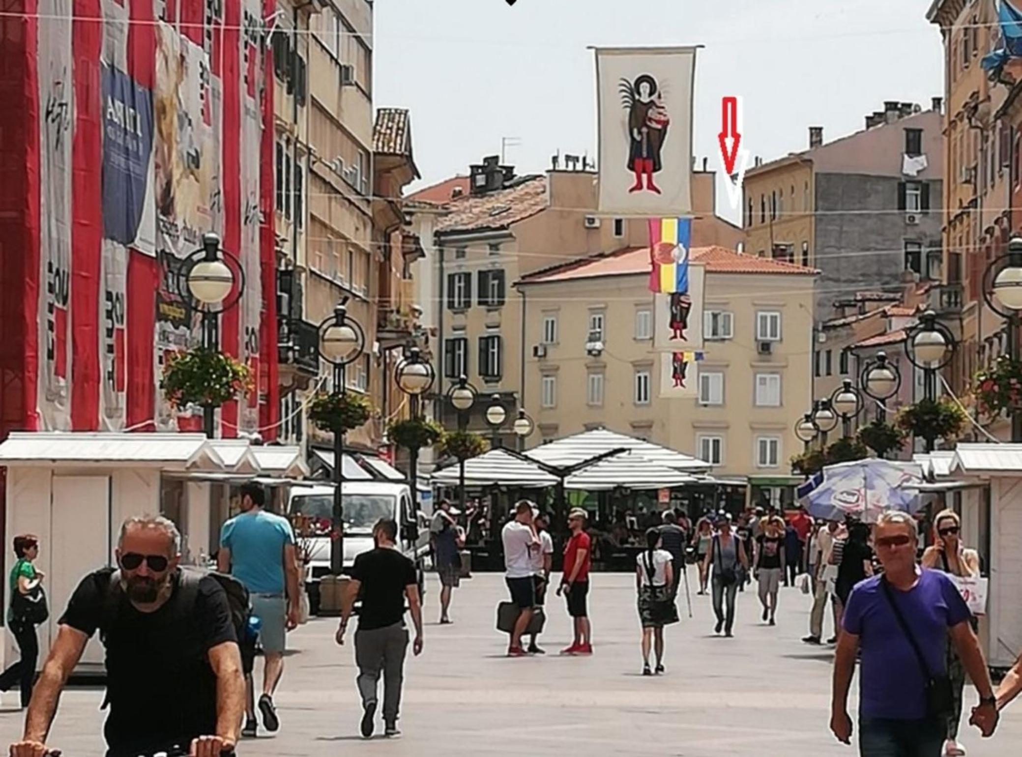 Stylish Rijeka City Center Apartment view 2