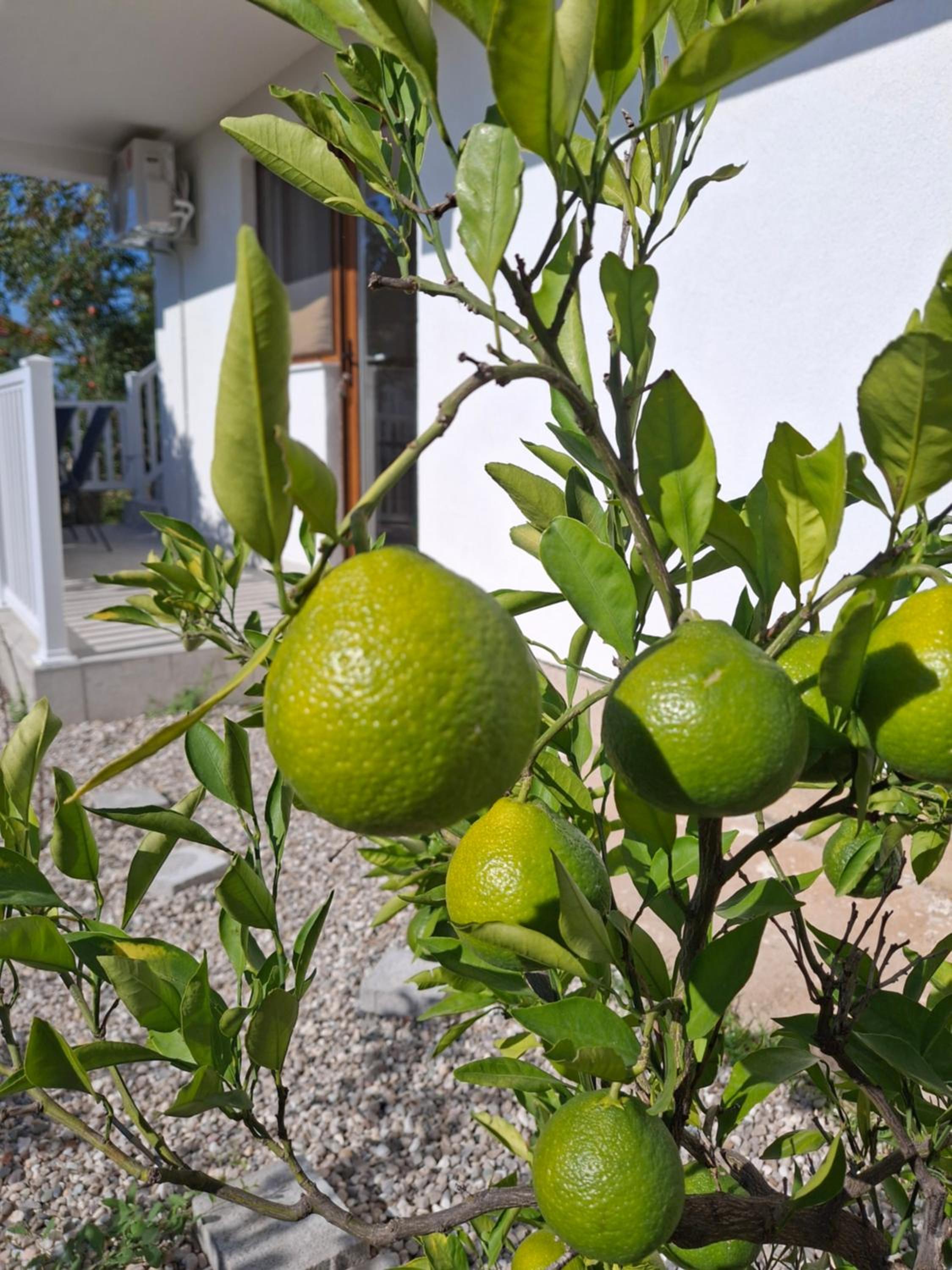 Apartment EnEm 2 Blagaj