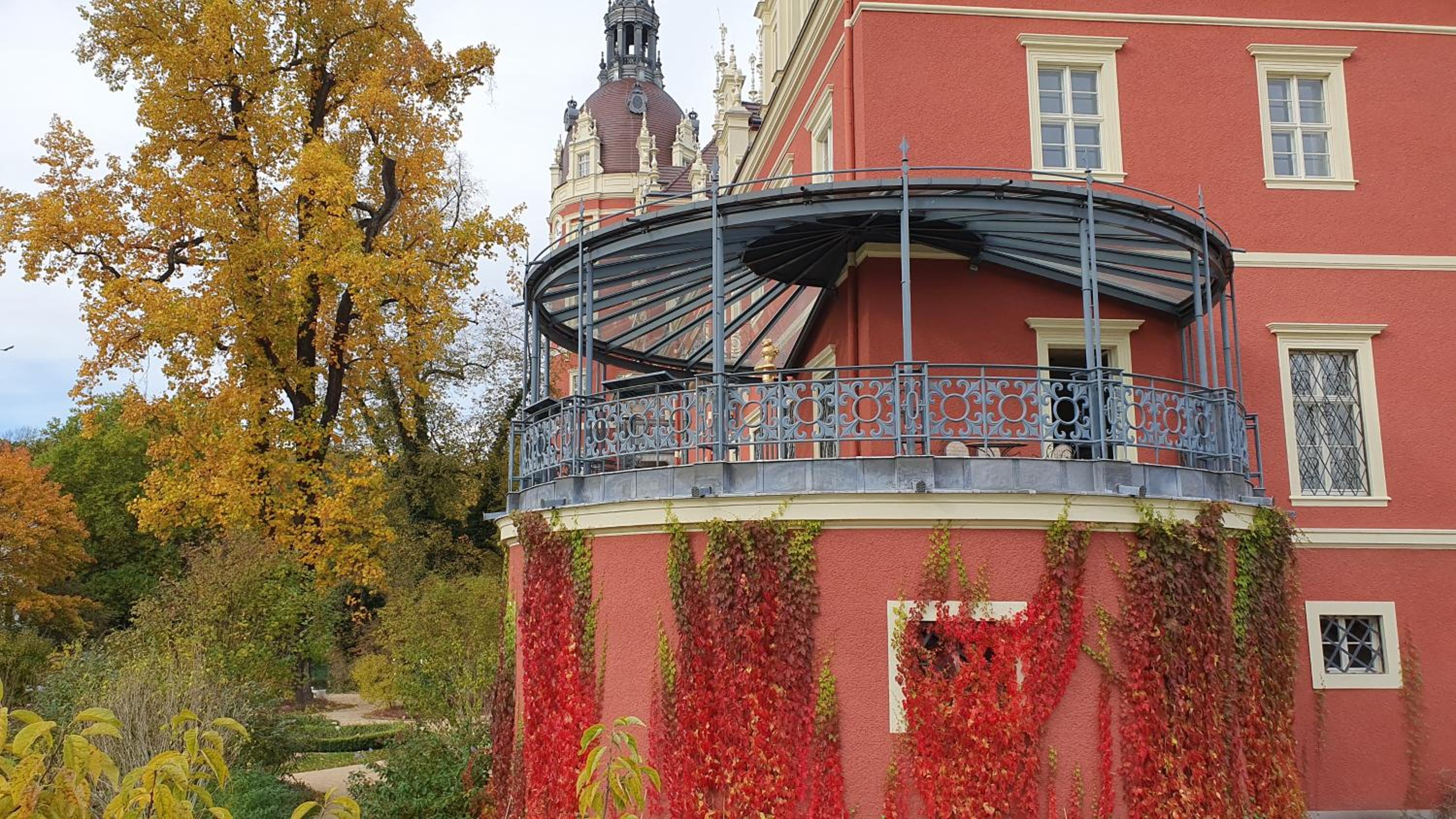 Kleine hübsches Apartment,Sauna im Haus, Hunde willkommen, nahe Park, Waldeisenbahn, Hermansbad, UNESCO Geopark, Nähe polnischer Markt, Top Lage für Ausflu