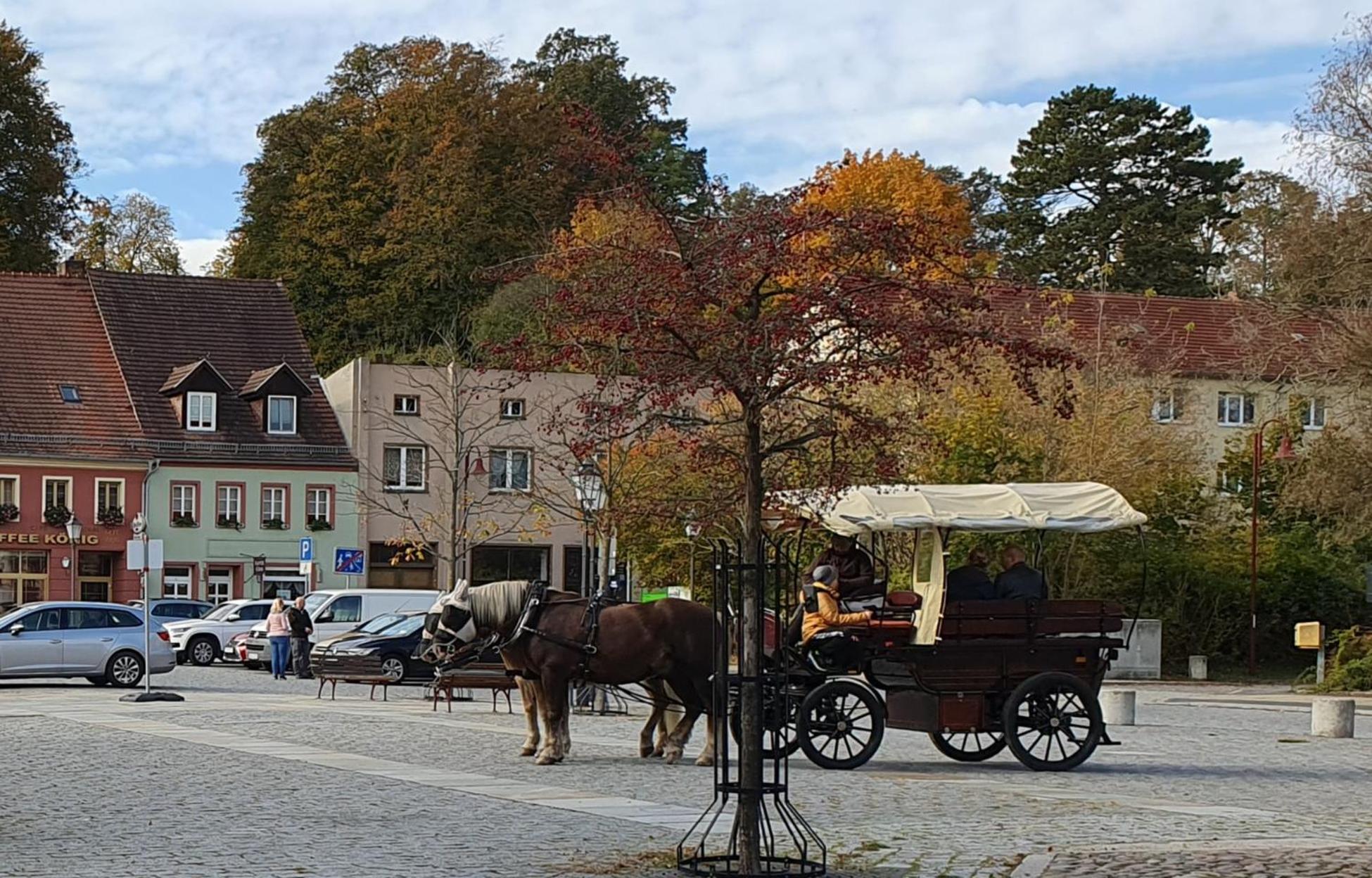 Moderne Ferienwohnung,Sauna im Haus, Parkplatz Hunde willkommen, nahe Schloss, Waldeisenbahn, Hermansbad, UNESCO Geopark, nahe polnischer Markt, Top Lage f