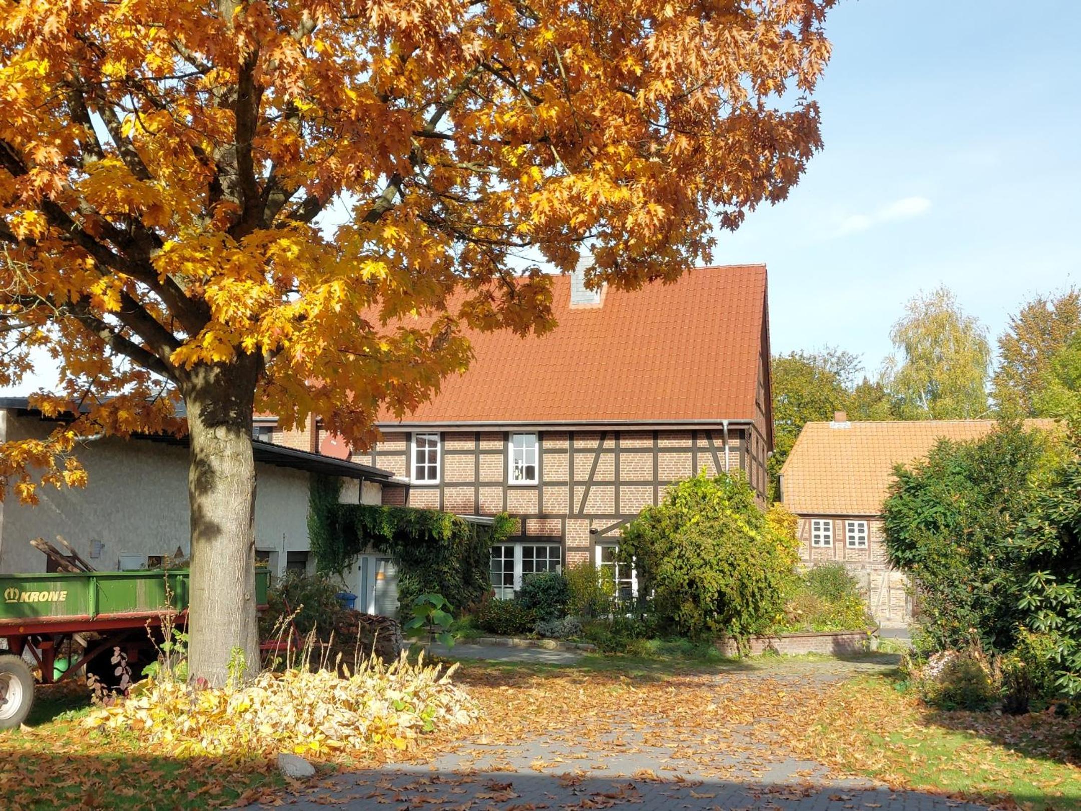 Ferienwohnung am Drömling Südheide - Gerda