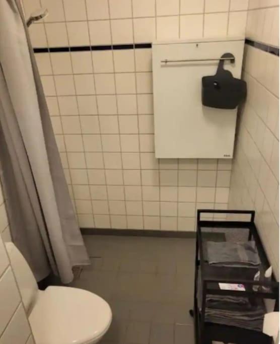 1-værelseslejlighed i centrum