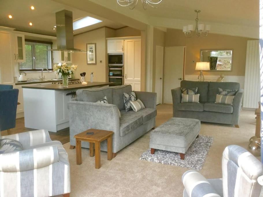 Luxury Forest View Lodge with private Hot Tub
