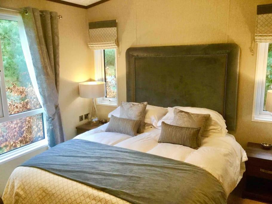 Luxury Forest View Lodge with private Hot Tub