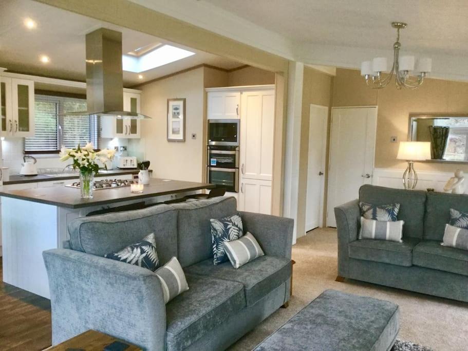 Luxury Forest View Lodge with private Hot Tub