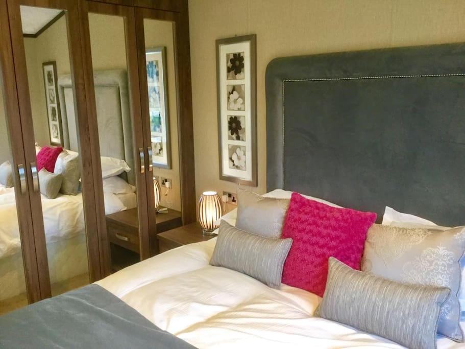 Luxury Forest View Lodge with private Hot Tub