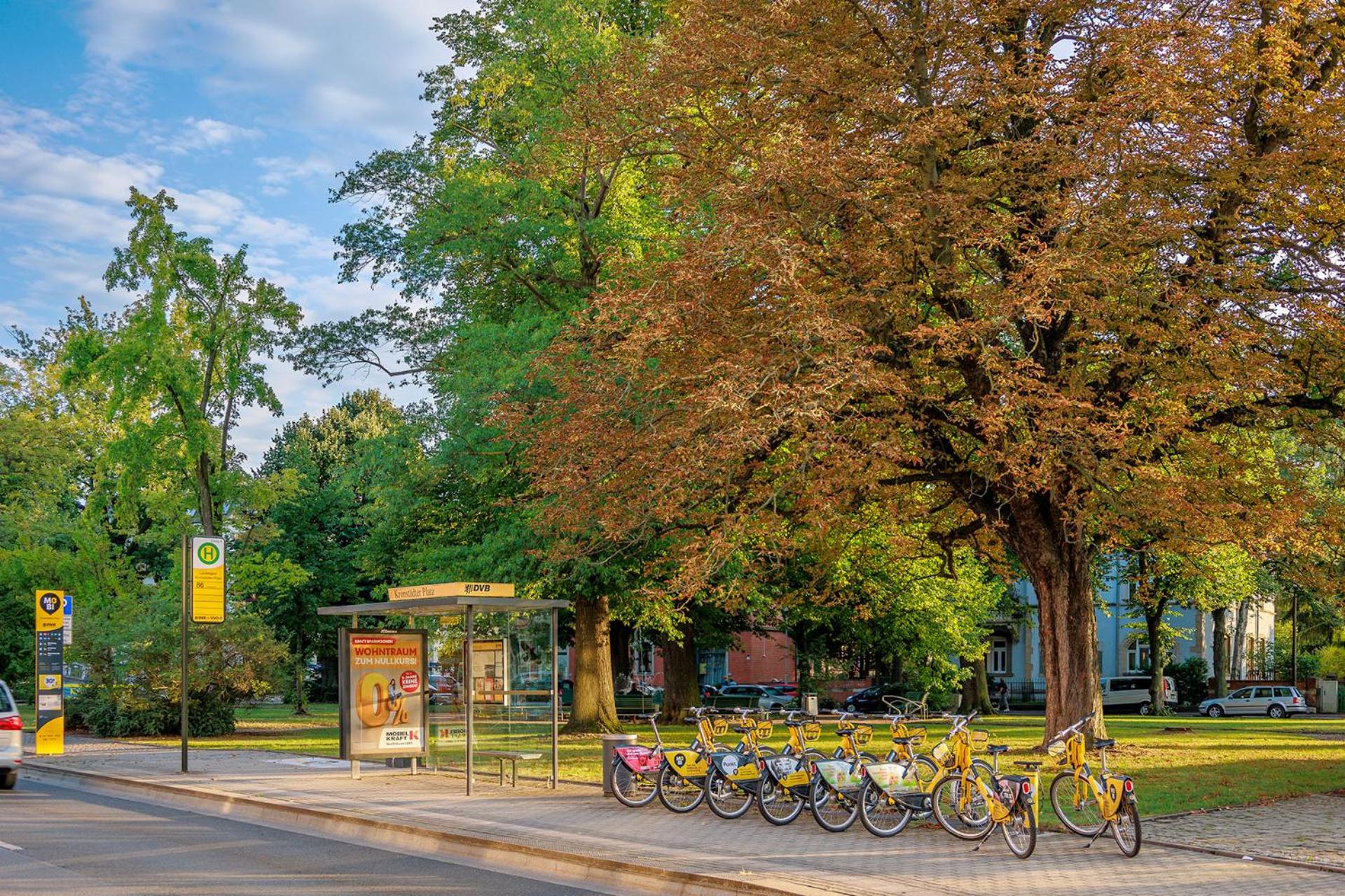 Dresden Vacations - QuartierDresden zentral-elbnah-ruhig-familienfeundlich-OPNV - Property Image 10