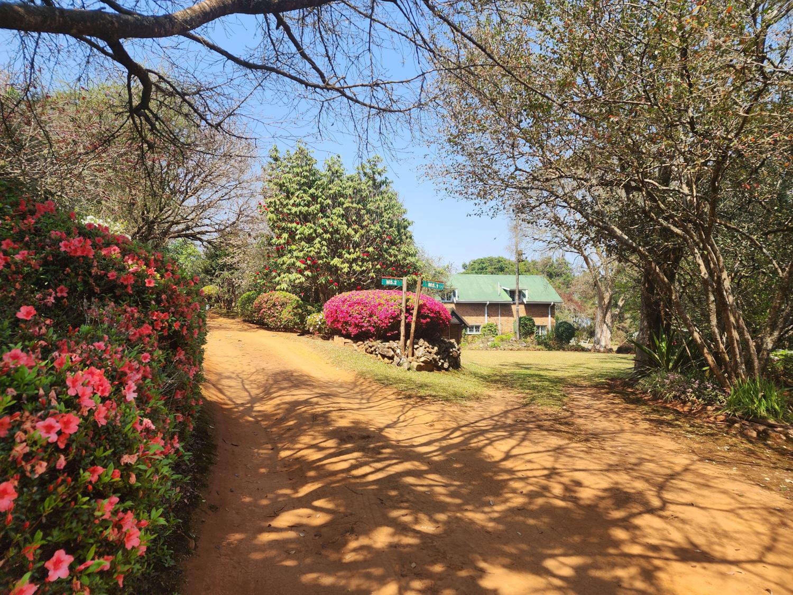 Country Cottage