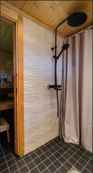 Arctic log house Hirvas