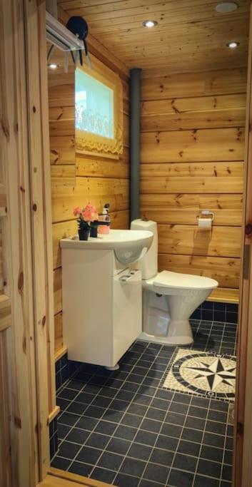 Arctic log house Hirvas