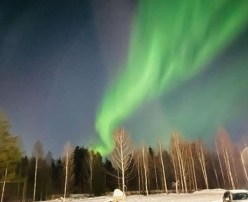 Arctic log house Hirvas