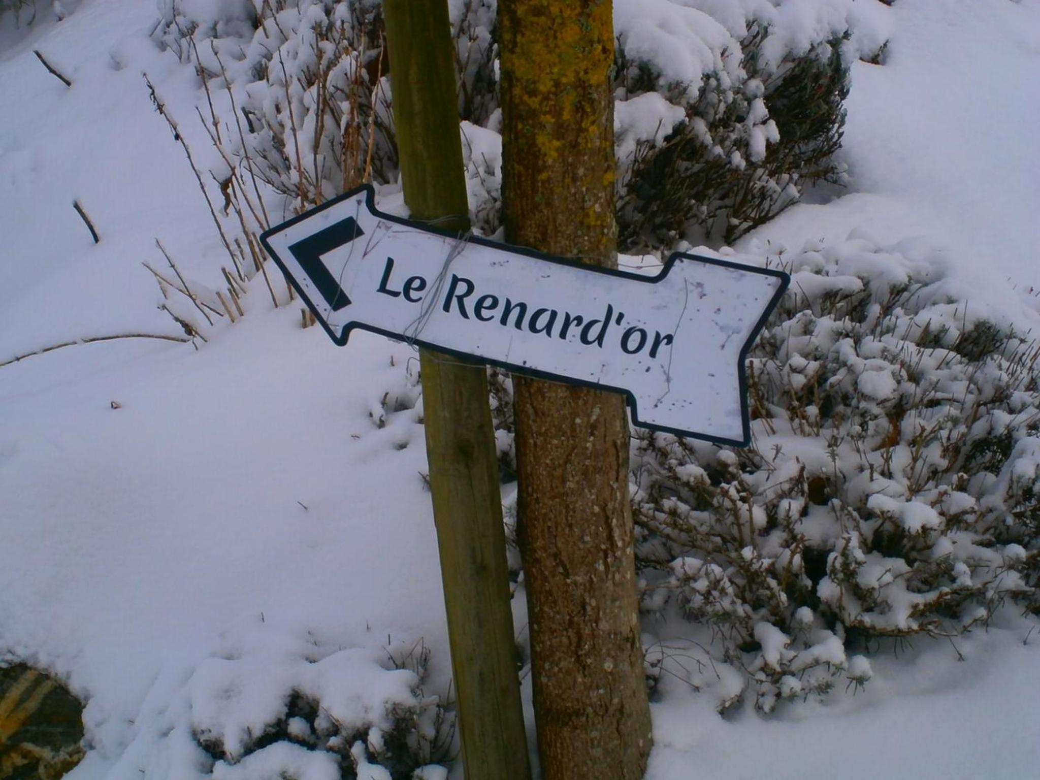 Le Renard'or