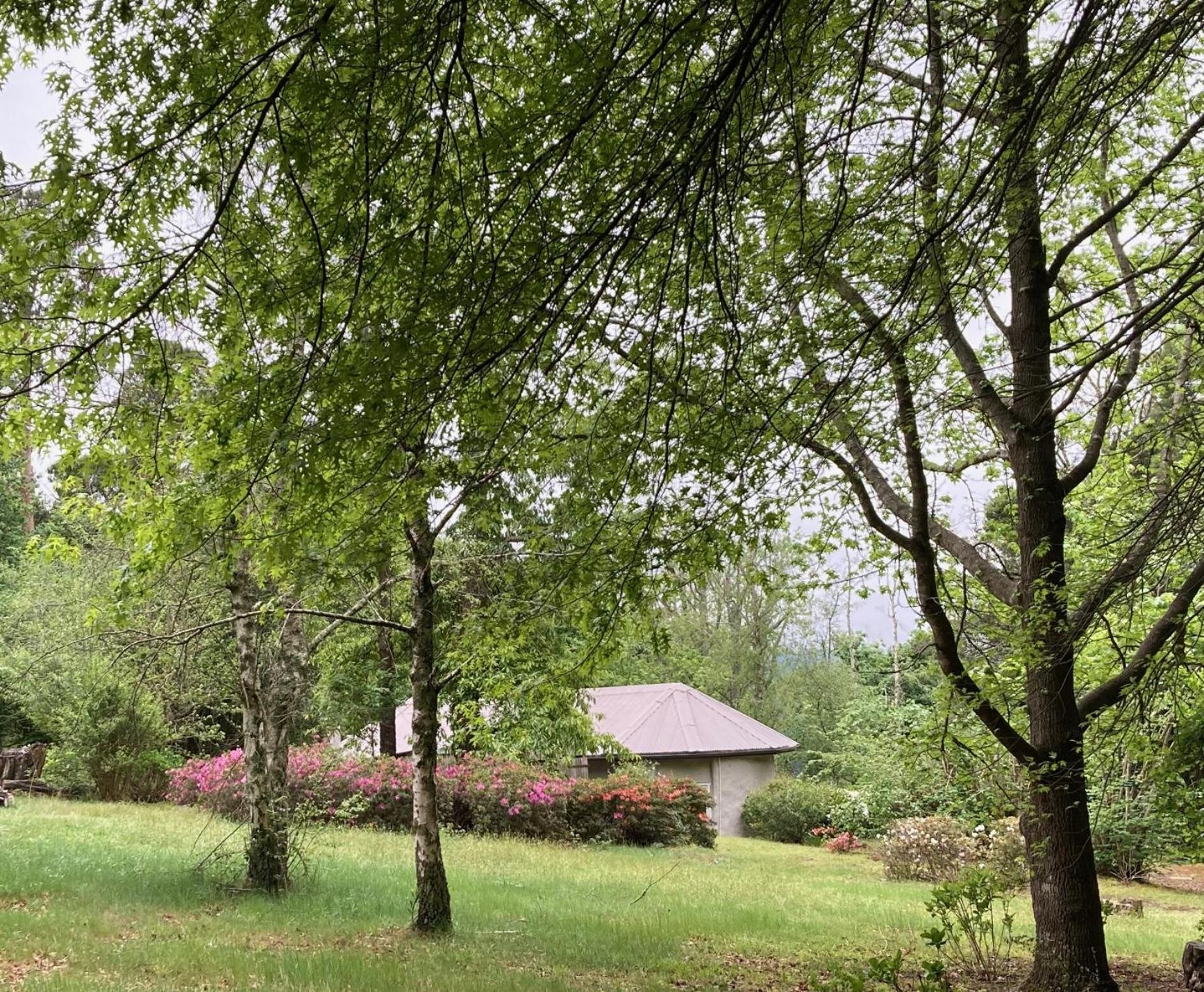 Bramber Cottage Hogsback, Living With Joy! view 2